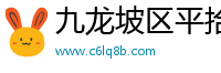 九龙坡区平拾